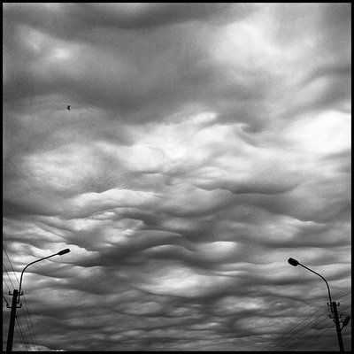 Файл:Piter 08 06 2008.jpg