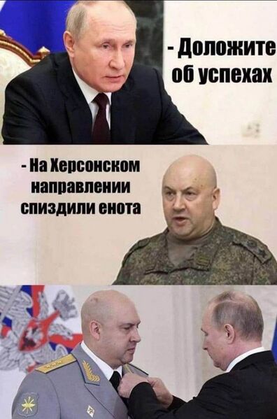 Файл:Photo 2022-11-13 14-37-53.jpg