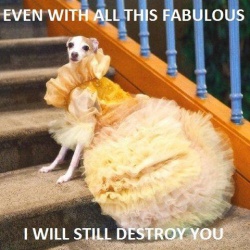 Сцобако кусаецо