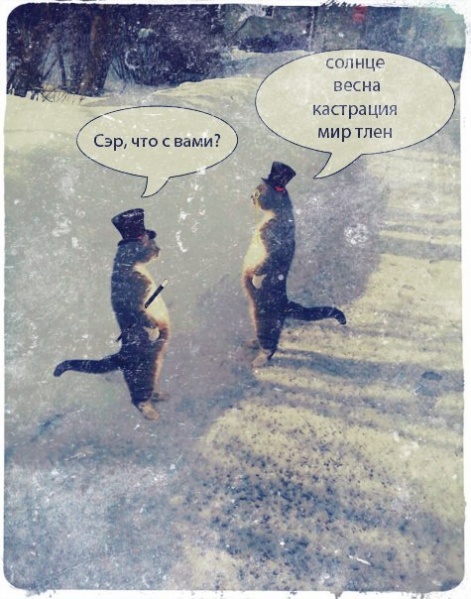 Файл:Post rock cats.jpg