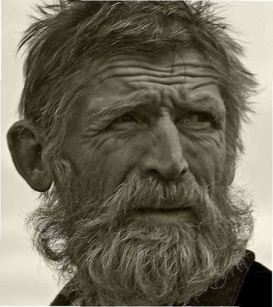 Файл:Michail Zuev.png