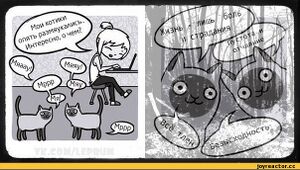 Bezyshodnost'-komiks-Kotyata-post-rok-559416.jpeg