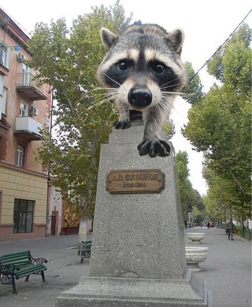 Файл:Photo 2022-11-13 14-37-53 (5).jpg