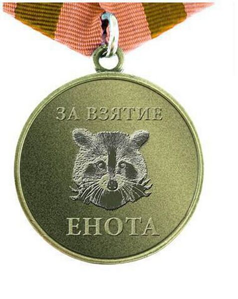 Файл:Photo 2022-11-13 14-37-52.jpg