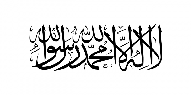 Файл:Flag of the Taliban.svg.png