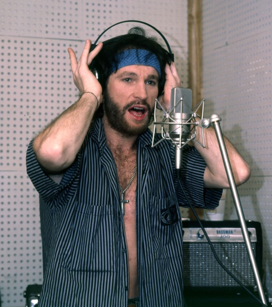 Файл:Полосатая рубашка 1.jpg