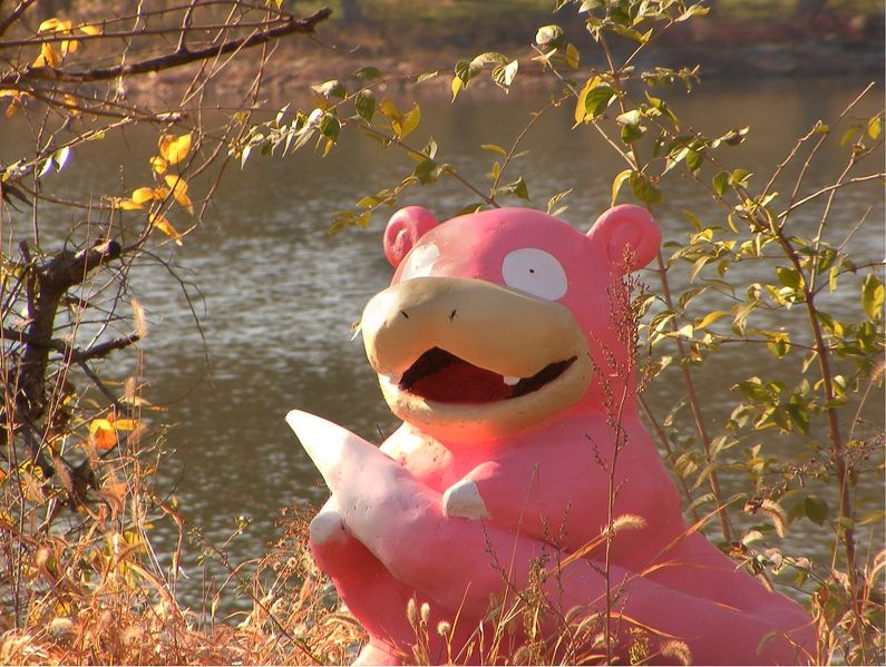 Файл:Slowpoke IRL.jpg