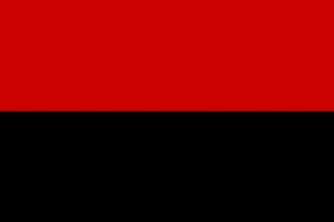 OUN-r Flag 1941.svg.png