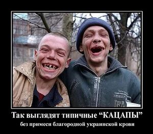 Кацапы демотиватор 1.jpg